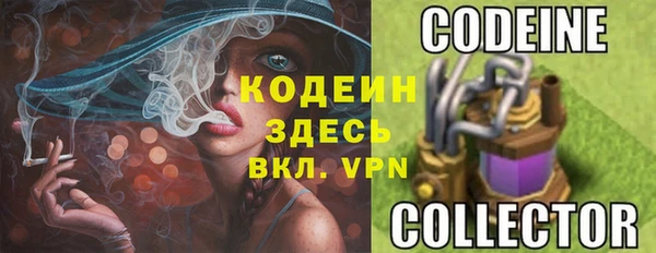 трава Елабуга