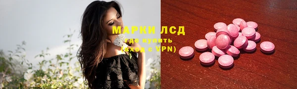 шишки Алзамай