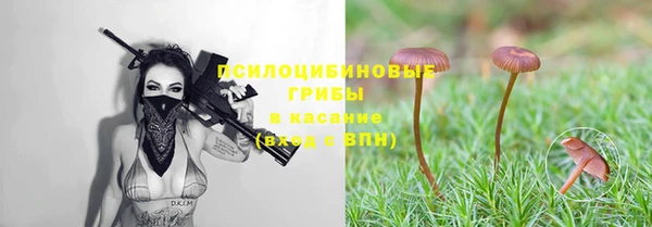 гашиш Аркадак
