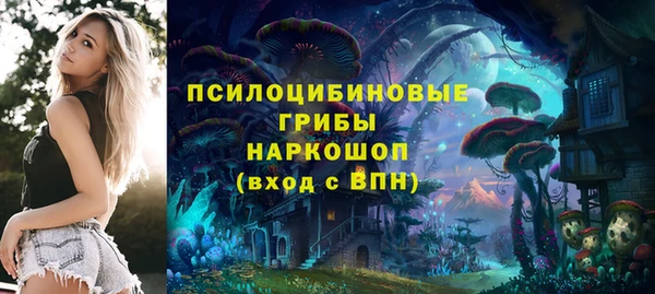 гашик Армянск
