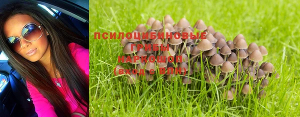 гашик Армянск