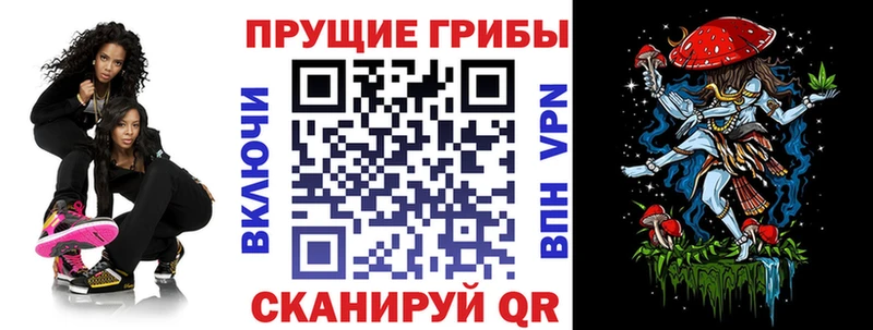 дарк нет формула  Троицк  Галлюциногенные грибы Psilocybe 